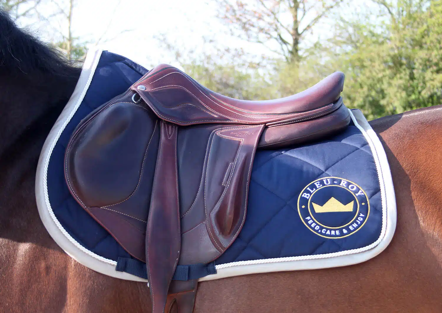 Tapis de selle cheval bleu roi Comité Régional d'Equitation d'Ile