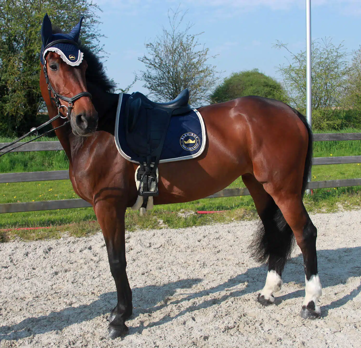 Tapis de Selle de Dressage IRHCloud Dancer - cheval Bleu marine