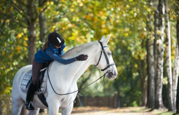 L’importance des minéraux, oligo-éléments et vitamines chez le cheval