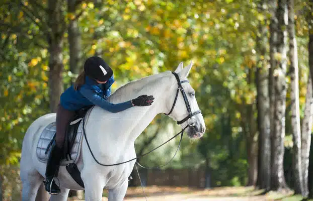 Het belang van mineralen, sporenlementen en vitaminen voor paarden