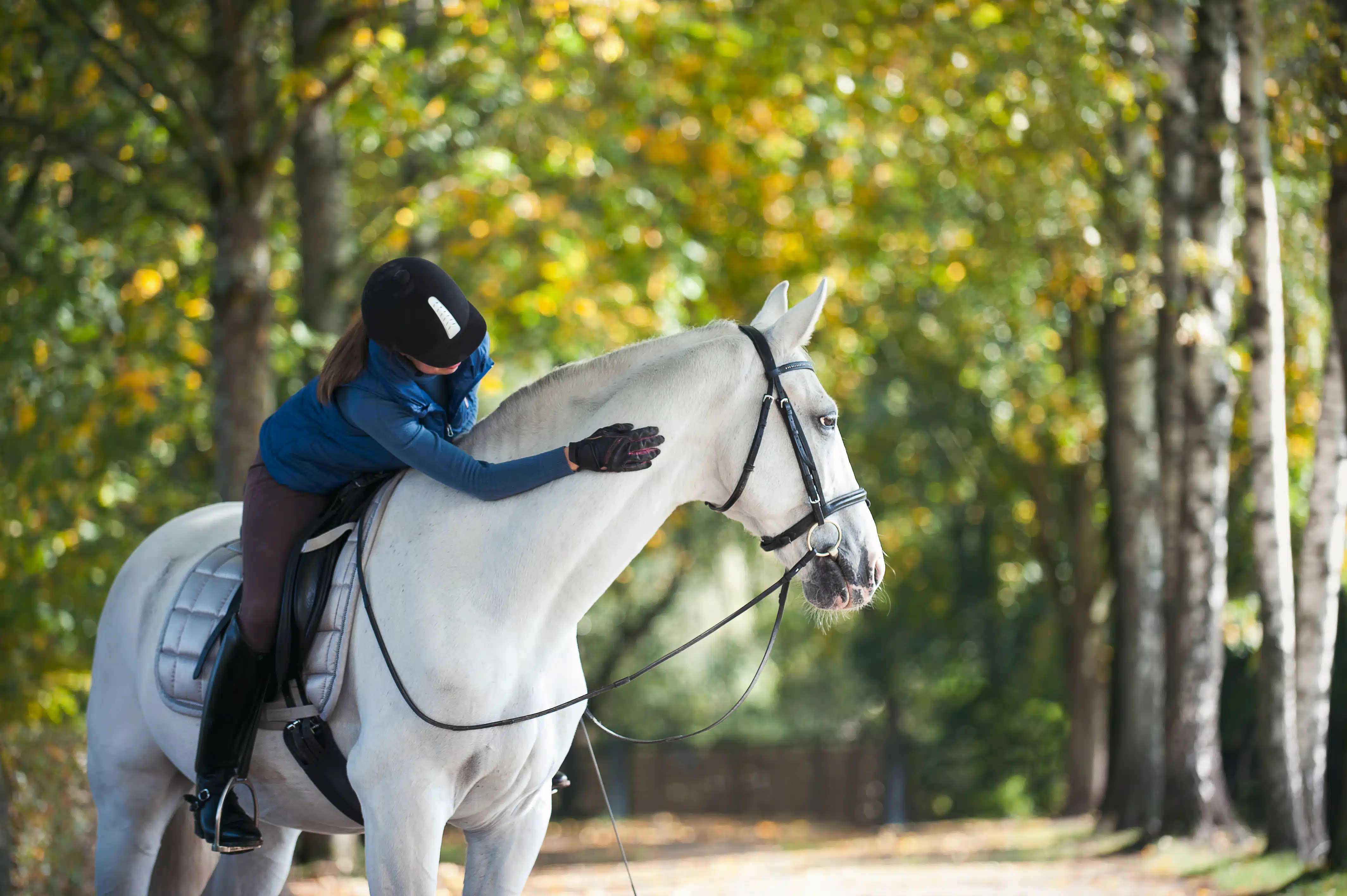 Het belang van mineralen, sporenlementen en vitaminen voor paarden